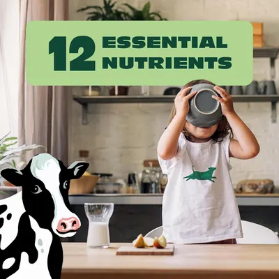 Communicates the nutritional value of the product by highlighting that it contains 12 essential nutrients, reassuring parents about the health benefits for their children. Emphasizes the…