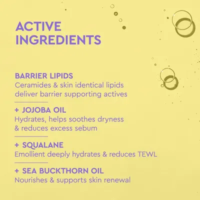 Educates shoppers on the key active ingredients in the product and their specific benefits for skin health, building trust through transparency and ingredient knowledge.