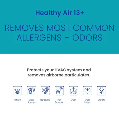 Communicates the air filter's ability to remove multiple types of allergens and odors while protecting the HVAC system, reassuring shoppers of comprehensive air quality improvement.