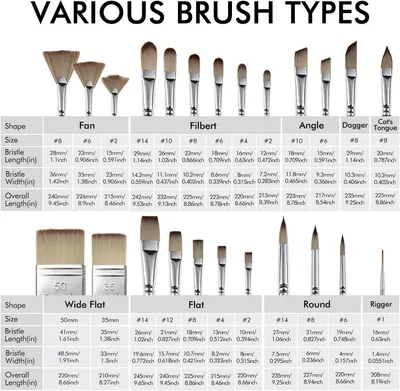 This image helps shoppers understand the full range of brush shapes and sizes available in the product line, enabling them to choose the right brush type for their specific painting needs.