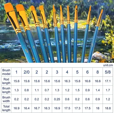 Provides detailed dimensional specifications for multiple brush models to help shoppers understand the exact physical sizes and choose the right brush for their needs.