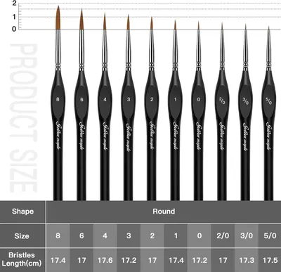 Shows the complete set of brushes included with different sizes, helping shoppers understand the variety and options they receive in the product package.