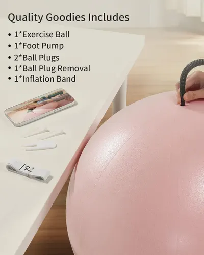 Shows all the accessories and components included with the exercise ball purchase to reassure shoppers they're getting a complete, ready-to-use kit.