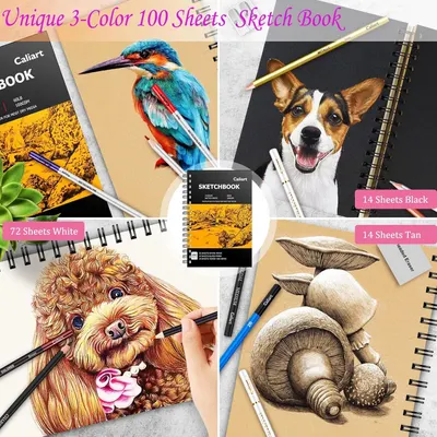 Shows the complete contents of the sketchbook set, highlighting the variety of paper colors included and demonstrating the product's versatility for different artistic techniques and subjects.…