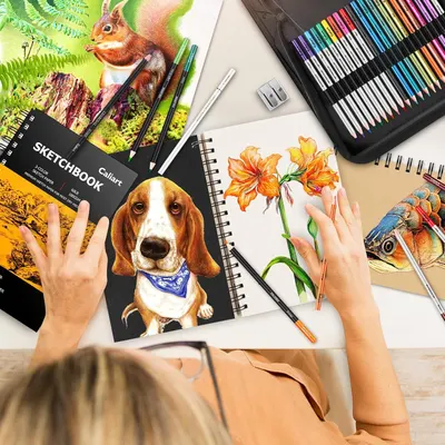 Shows everything included in the art set to help shoppers understand the complete bundle they will receive, including colored pencils, multiple sketchbooks with sample artwork, and accessories.