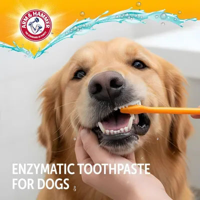 Introduces the Arm & Hammer brand's enzymatic toothpaste product line for dogs, establishing brand recognition and trust through the prominent logo and lifestyle imagery.