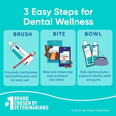 Educates pet owners on a simple three-step dental wellness routine (brush, bite, bowl) to maintain their pet's oral health. Highlights three distinct product benefits in a segmented layout, showing…