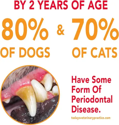Communicates the high prevalence of periodontal disease in pets to emphasize the importance of dental care products and create urgency for pet owners.