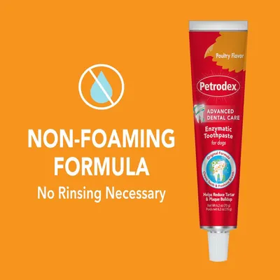 Highlights the convenience of the non-foaming formula that requires no rinsing, making dental care easier for dog owners.