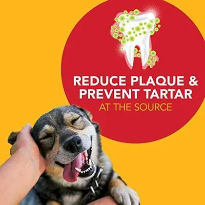 Communicates the product's ability to reduce plaque and prevent tartar buildup at the source, reassuring pet owners of effective dental care for their dogs.