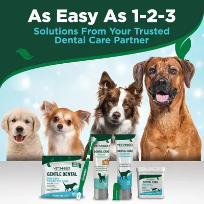 Showcases the brand's complete dental care product lineup for dogs, positioning Vet's Best as a trusted partner offering easy-to-use solutions across multiple product formats.