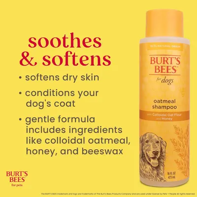 Communicates multiple distinct benefits of the dog shampoo—soothing and softening dry skin, conditioning the coat, and using a gentle natural formula—to reassure pet owners of the product's…
