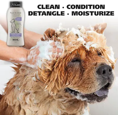 Communicates the four-in-one functionality of the pet conditioner, showing it cleans, conditions, detangles, and moisturizes to reassure shoppers of its comprehensive grooming benefits.