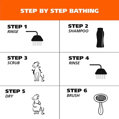 Provides clear sequential instructions on how to properly bathe a dog, from rinsing through brushing, to help pet owners follow the correct bathing process.