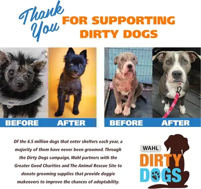 Demonstrates the dramatic transformation of rescue dogs through grooming services, showing the product's effectiveness in improving the appearance and adoptability of shelter animals while building…