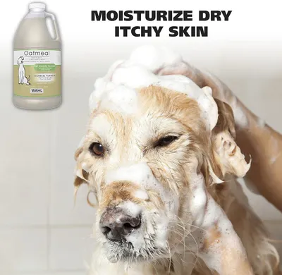 Communicates that the oatmeal shampoo effectively moisturizes and soothes dry, itchy skin on pets, reassuring pet owners about the product's therapeutic benefits.