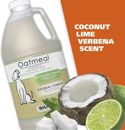Highlights the specific scent variant of the oatmeal shampoo concentrate to help shoppers identify the fragrance option and appeal to those seeking a fresh, tropical scent for their pet.