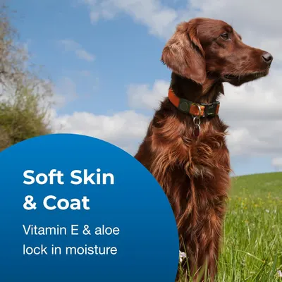 Communicates that the product promotes healthy, soft skin and coat for dogs through moisturizing ingredients like Vitamin E and aloe.