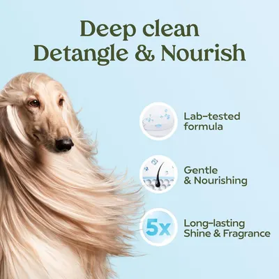 Communicates multiple benefits of the pet shampoo including its scientifically tested formula, gentle nourishing properties, and long-lasting results to reassure pet owners of product quality and…