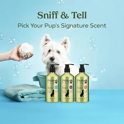 Showcases the brand's product lineup of dog shampoos in different scent options, helping shoppers choose which variant best suits their pet's needs.