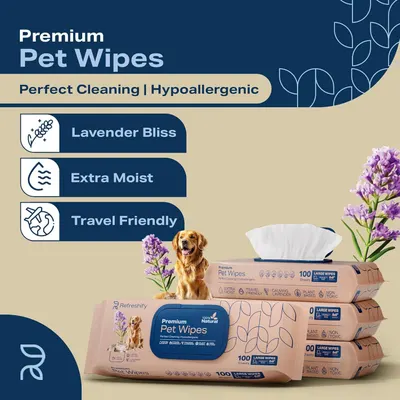 Communicates multiple distinct product benefits in a segmented layout to show shoppers the variety of features these premium pet wipes offer, including scent, moisture level, portability, and…