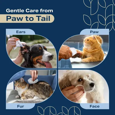 Demonstrates the product's versatility by showing it can be used to gently clean multiple areas of pets (ears, paws, fur, and face), reassuring pet owners of its comprehensive care capabilities.