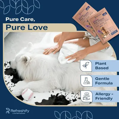 Communicates multiple key benefits of the pet wipes—plant-based ingredients, gentle formulation, and allergy-friendly properties—to reassure pet owners about product safety and quality.