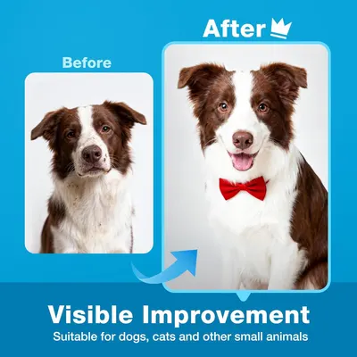 Demonstrates the dramatic transformation and cleaning results achieved by using the product, showing a dirty, unkempt dog becoming clean, groomed, and happy to prove the product's effectiveness for…