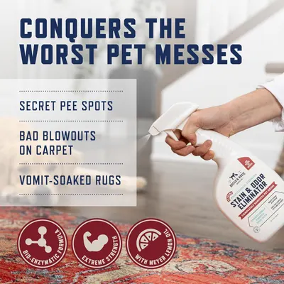 Demonstrates the product's versatility by showing it can handle multiple types of pet messes including secret pee spots, bad blowouts on carpet, and vomit-soaked rugs. Highlights three distinct…
