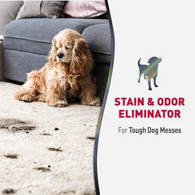 Communicates the product's ability to eliminate tough pet stains and odors, reassuring pet owners that it can handle difficult messes from dogs.