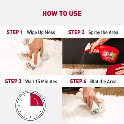 Provides clear, sequential instructions on how to use the cleaning product effectively, showing the user exactly what to do from wiping up the mess to blotting the area after waiting.