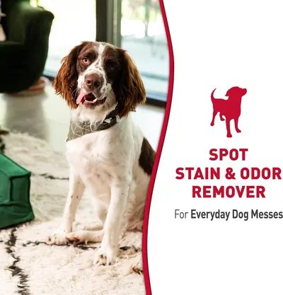 Communicates that the product is designed to handle everyday pet messes, specifically targeting stain and odor removal for dog owners.