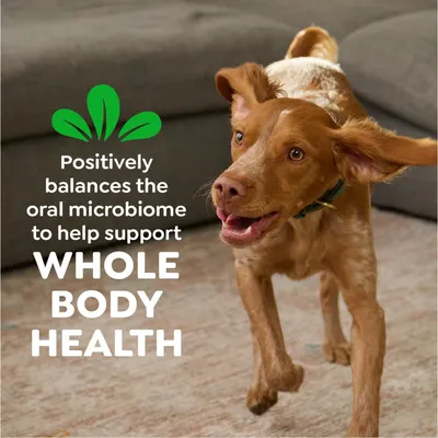 Communicates that the product supports oral microbiome balance to promote overall whole body health in pets, reassuring pet owners of comprehensive health benefits.