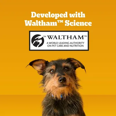 Communicates that the product is developed with Waltham Science, a world-leading authority on pet care and nutrition, to build trust and credibility with shoppers through scientific backing and…