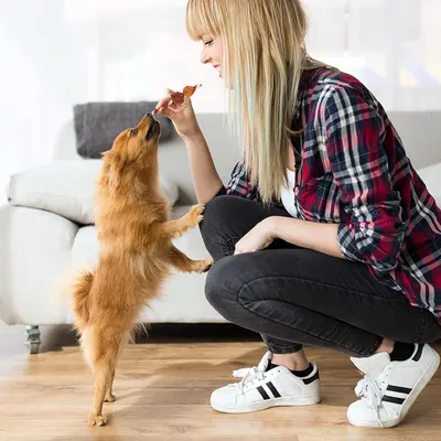 Shows the product being used in a real-world home setting with a pet, creating an emotional connection and demonstrating natural usage context.