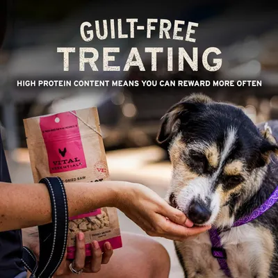 Communicates that the product's high protein content allows pet owners to reward their dogs more frequently without guilt, emphasizing a key nutritional benefit.