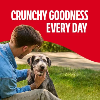 Communicates the product's crunchy texture as a key benefit, positioning it as a daily treat or food option for dogs.