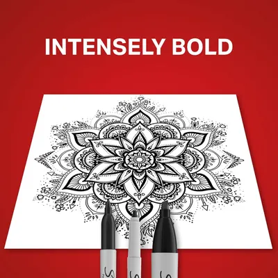 Demonstrates the pens' ability to create intensely bold, precise lines ideal for detailed artwork and intricate designs.