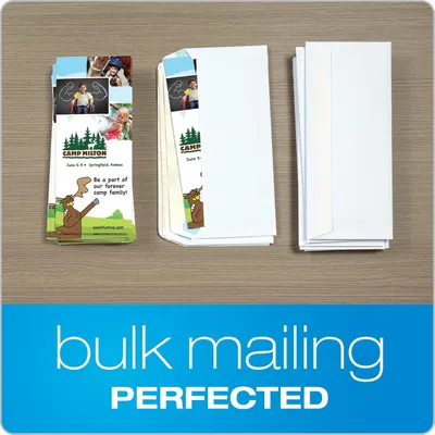 Demonstrates what customers receive in a bulk mailing package, showing the printed brochures/flyers with custom photos and branding alongside blank envelopes, reassuring buyers about the complete…