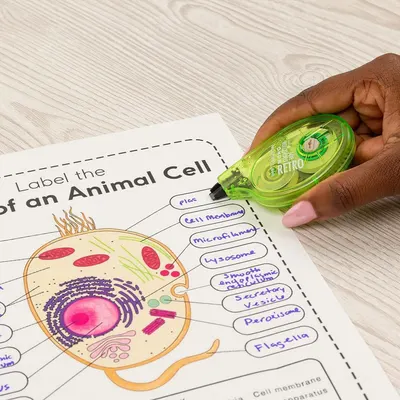 Demonstrates the product being used in a real-world educational context to show its practical application for students completing schoolwork and labeling assignments.