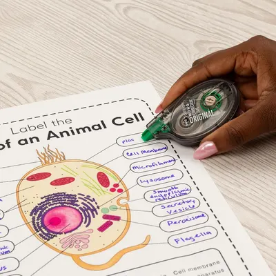 Demonstrates the product being used in a real-world educational setting to show its practical application for students completing schoolwork and labeling diagrams.