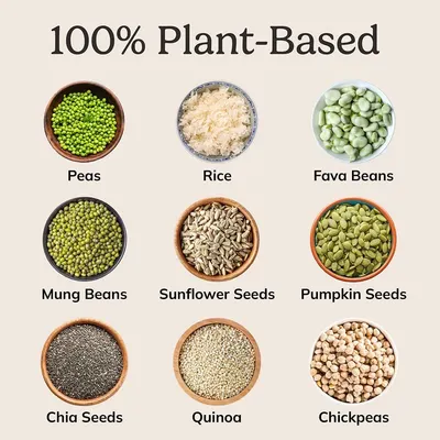 Demonstrates the variety of plant-based ingredients used in the product to reassure shoppers about the natural, wholesome composition and nutritional diversity. Highlights the product's plant-based…
