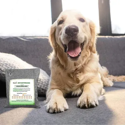 Shows the product in a real-world home setting with a pet to demonstrate its natural use context and appeal to pet owners.