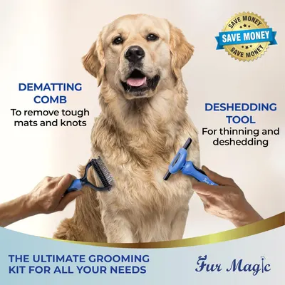 Showcases two distinct grooming tools and their specific benefits—removing mats/knots and thinning/deshedding—to demonstrate the versatility and completeness of the grooming kit.