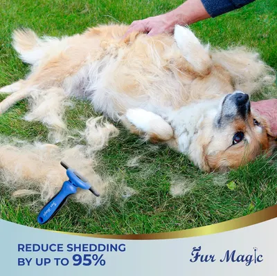 Communicates the product's effectiveness by highlighting a quantifiable performance claim that it reduces pet shedding by up to 95%, reassuring pet owners of significant results. Demonstrates the…
