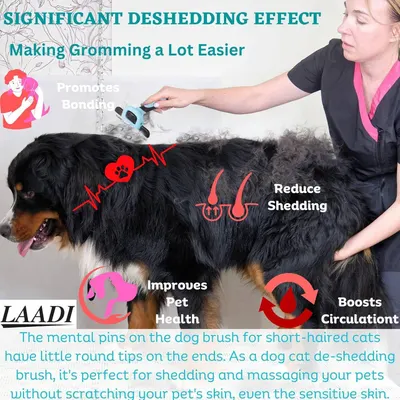 Communicates multiple distinct benefits of the pet grooming brush through a segmented layout with icons and callouts, showing how the product addresses shedding, bonding, health, and circulation.