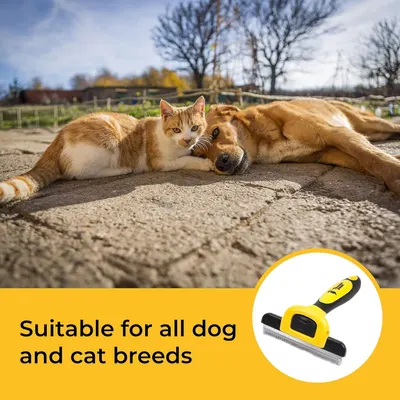 Communicates that the grooming tool works for both dogs and cats of all breeds, emphasizing versatility and broad applicability to reassure pet owners.