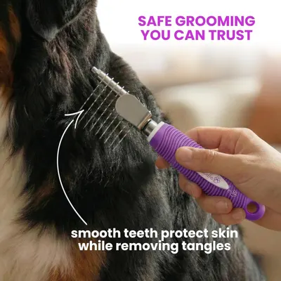 Demonstrates that the grooming tool features smooth teeth that protect the pet's skin while effectively removing tangles, reassuring pet owners of safe and gentle grooming.
