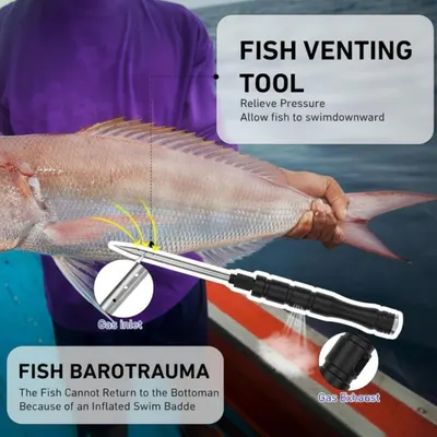 Educates anglers on how to use a fish venting tool to relieve pressure and allow caught fish to swim downward safely, addressing the barotrauma problem. Highlights the physical components of the…