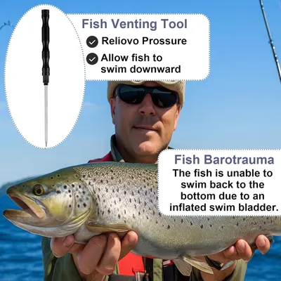 Educates anglers on how to properly use a fish venting tool to relieve pressure and prevent barotrauma, allowing caught fish to swim back down safely. Demonstrates the product's primary benefit of…
